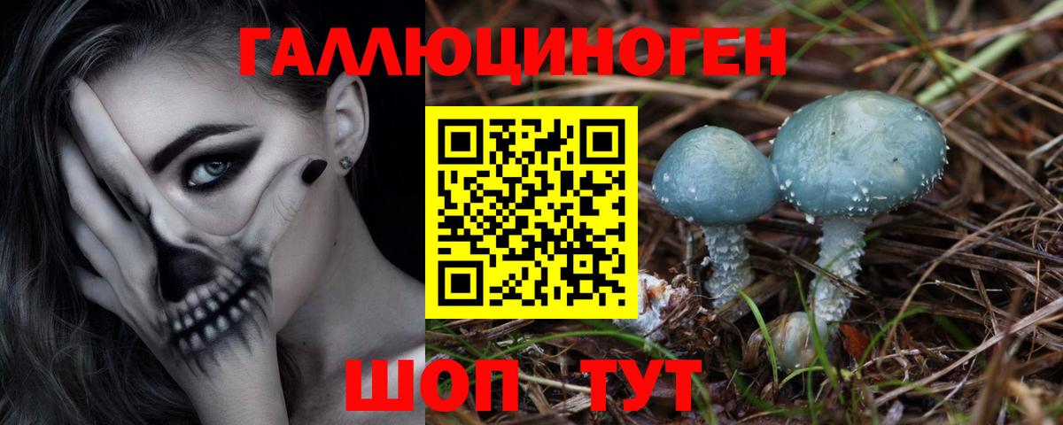 Узловая  Псилоцибиновые грибы GOLDEN TEACHER  Вход с VPN 
